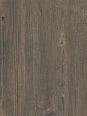 Korting Dlažba Cersanit Wood Moments 2.0 cold brown struktura mat rektifikovaná 59x59 NT1230-008-1
