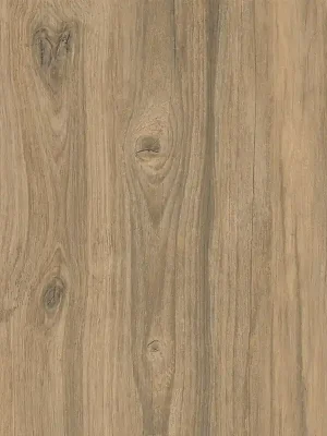 Actieprijs Dlažba Cersanit Wood Moments 2.0 light brown struktura mat rektifikovaná 59x59 NT1230-012-1