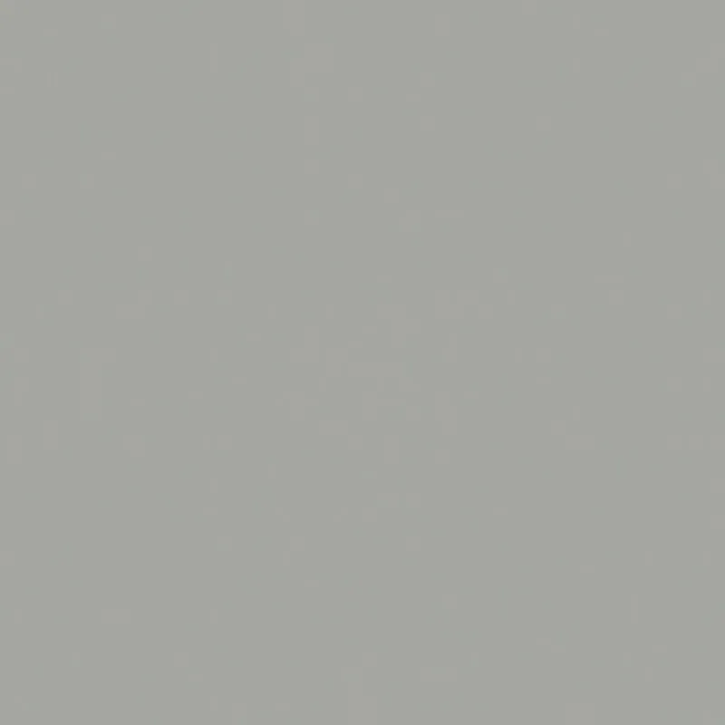 Dlažba Rako Taurus Color světle šedá mat rektifikovaná 60x60 TAK62003 Speciale Aanbieding