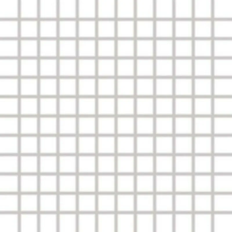 Mozaika Rako Color Two bílá mat 30x30 GDM02023 Nieuw