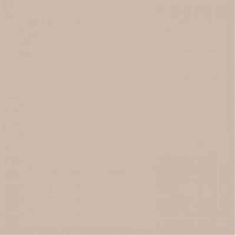 Must-Have Obklad Rako Color One béžová mat 20x20 WAA1N108