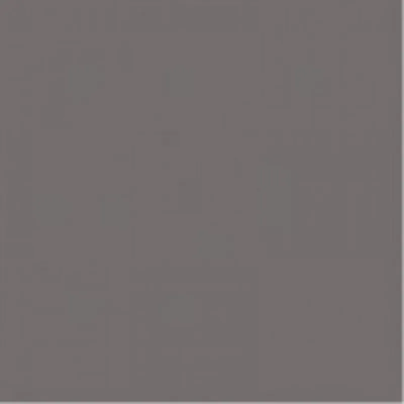 Obklad Rako Color One tmavě šedá mat 20x20 WAA1N111 Laatste Versie