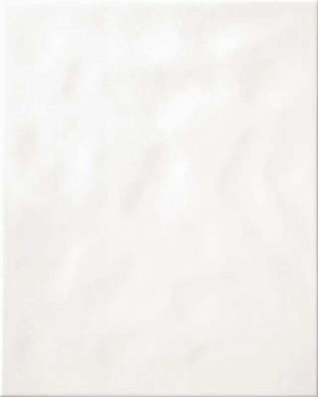 Koop Vandaag Obklad Rako Systém bílá struktura mat 20x25 WARGK104
