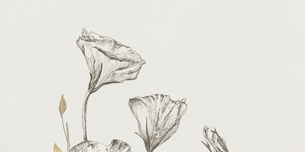 Dekor Tubadzin Velo bianco flowers 4 pololesk rektifikovaný 60x120 Superprijs