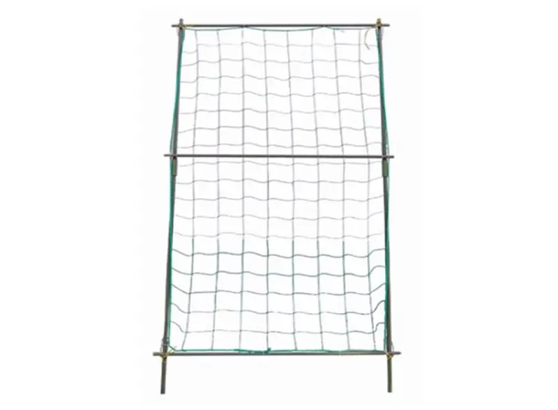 Konstrukce na podporu rostlin 80 x 120cm Express Levering