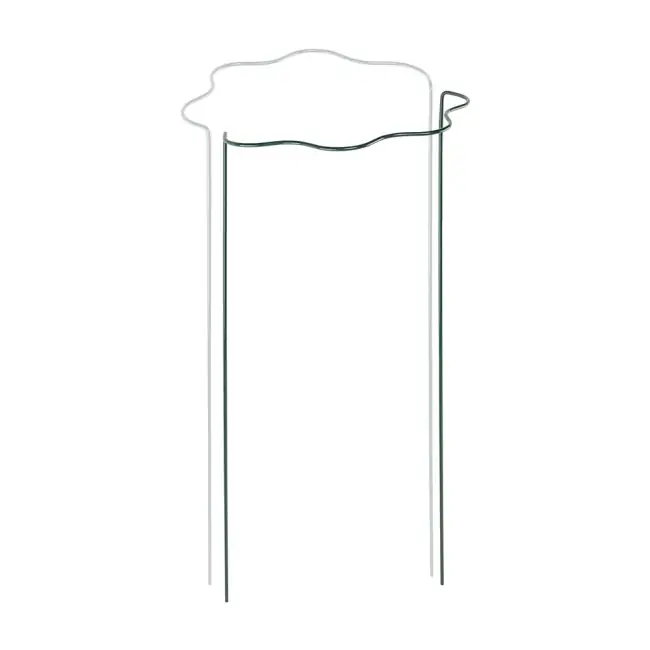 Rechtstreeks Van De Fabrikant Kruhová podpěra pro rostliny, 1/2 kruhu, průměr 30 cm / výška 70 cm