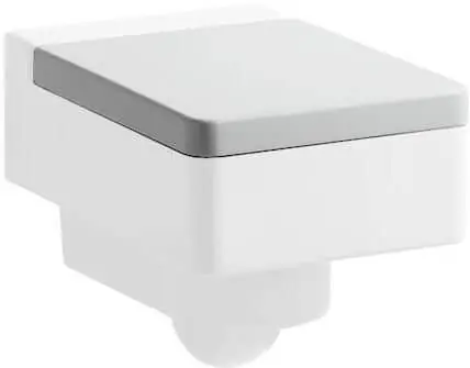 Direct Verzonden WC sedátko s poklopem Laufen LIVING CITY antibakteriální, odnímatelné, pro 820435, bílá