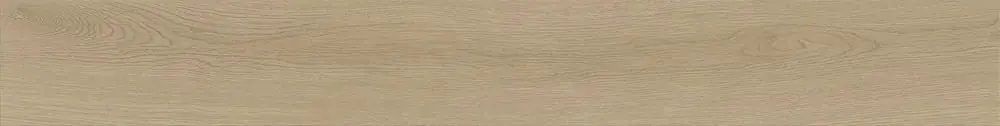 Premium Atlas Concorde ENTICE Ash Oak Elegant 18,5x150 cm