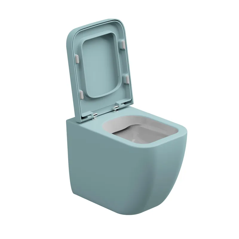 WC mísa stojící Brio, rimless, keramická, dvoubarevná, BRWC01BI000037FI Actieprijs