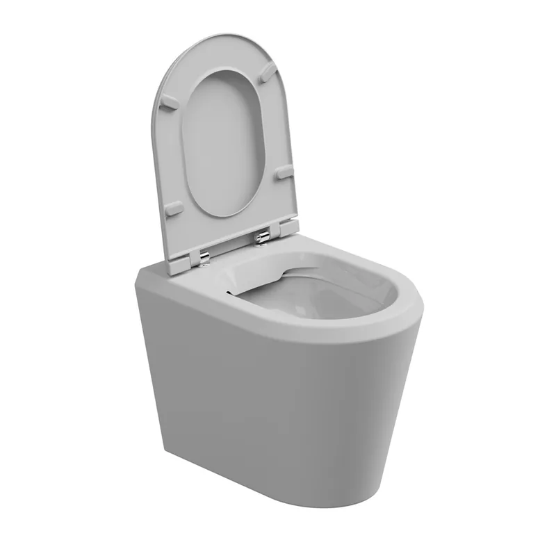 WC mísa stojící Cruise, rimless, keramická, dvoubarevné, CRWC01BI000001FI Aanbieding