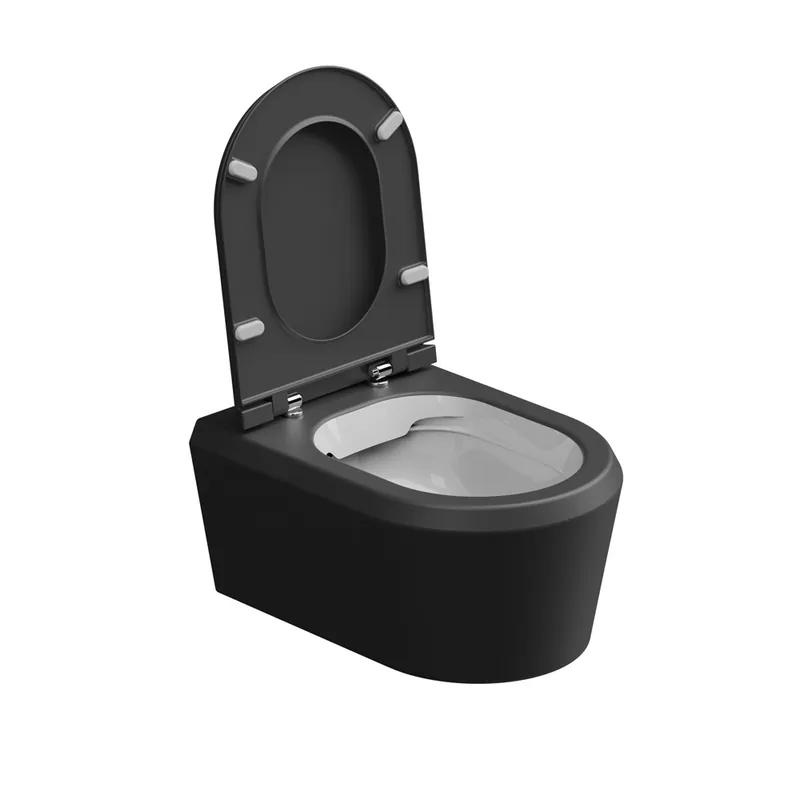 WC závěsné Cruise, rimless, dvoubarevné, zadní odpad, CRWCSOBI000003 Nu Kopen