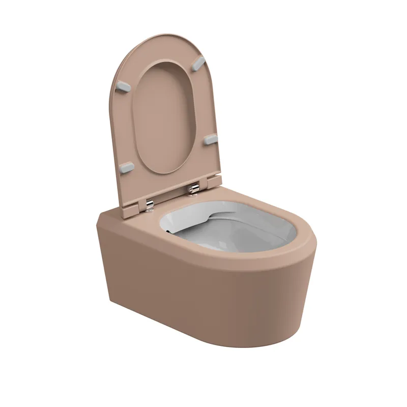 Weekendaanbieding WC závěsné Cruise, rimless, dvoubarevné, zadní odpad, CRWCSOBI000032