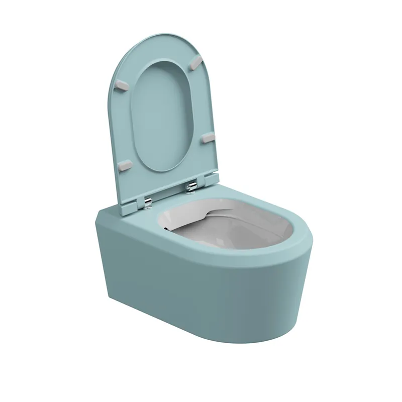 Aanbieding WC závěsné Cruise, rimless, dvoubarevné, zadní odpad, CRWCSOBI000037