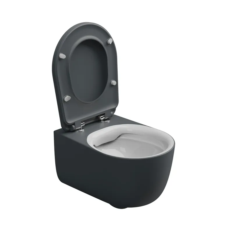 WC závěsné Hit, rimless, dvoubarevné, zadní odpad, HIWCSOBI000028 Voordeelprijs